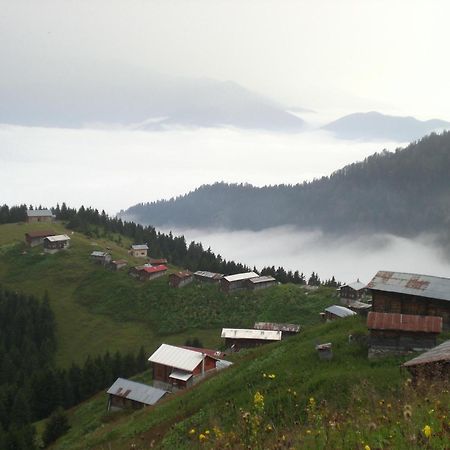 Ayder Hasimoglu Hotel Εξωτερικό φωτογραφία