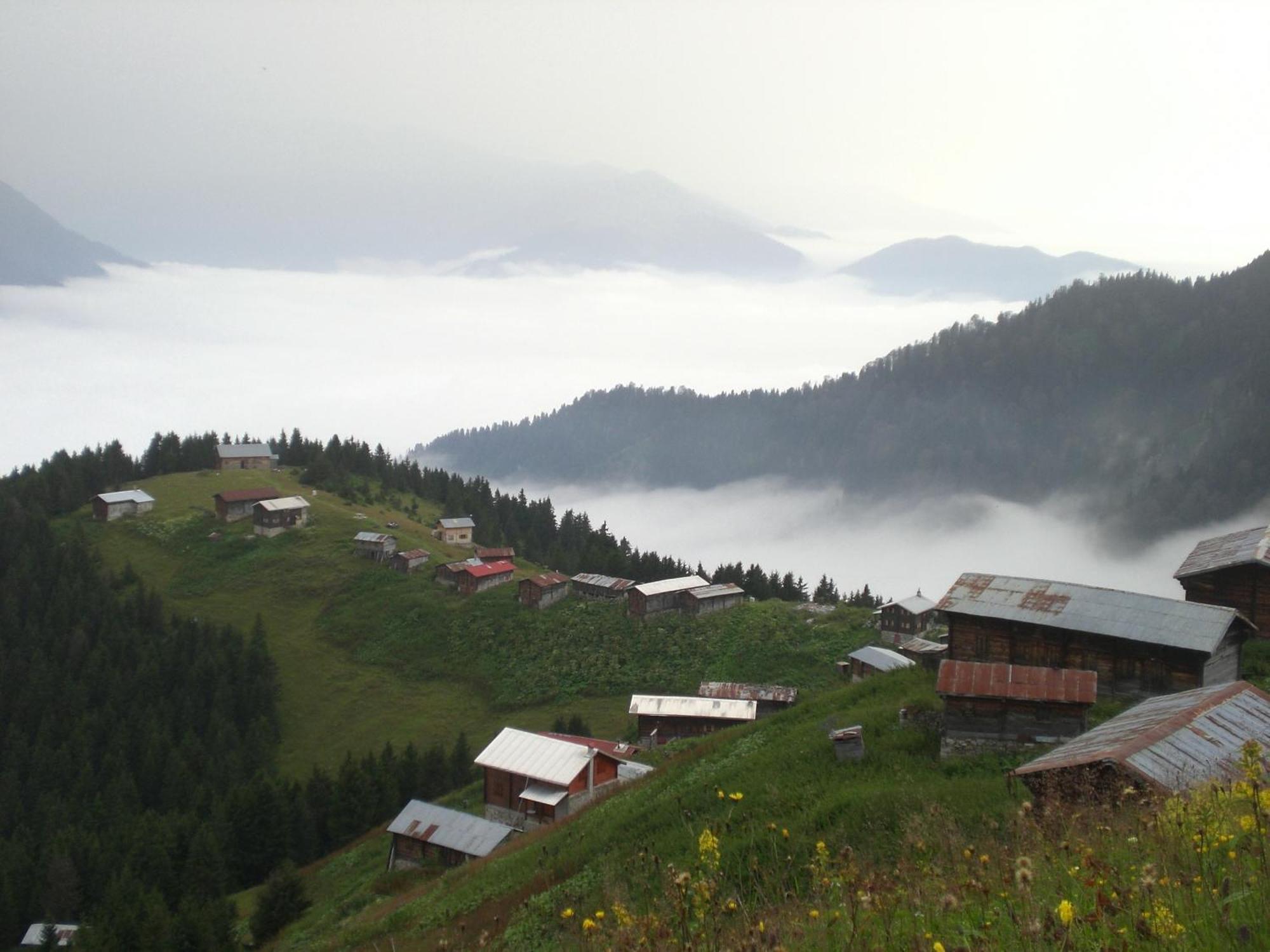 Ayder Hasimoglu Hotel Εξωτερικό φωτογραφία